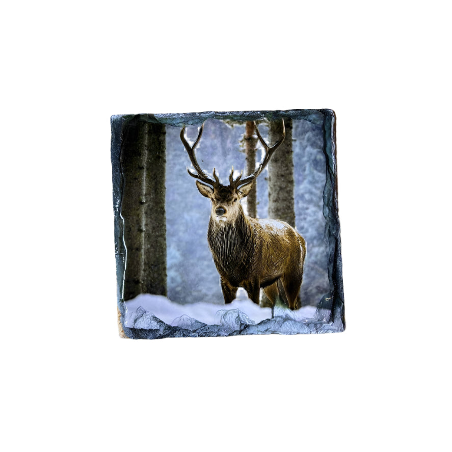 Stags in Winter Scene Slate Coaster Set – Scottish Highlands Souvenir Gift