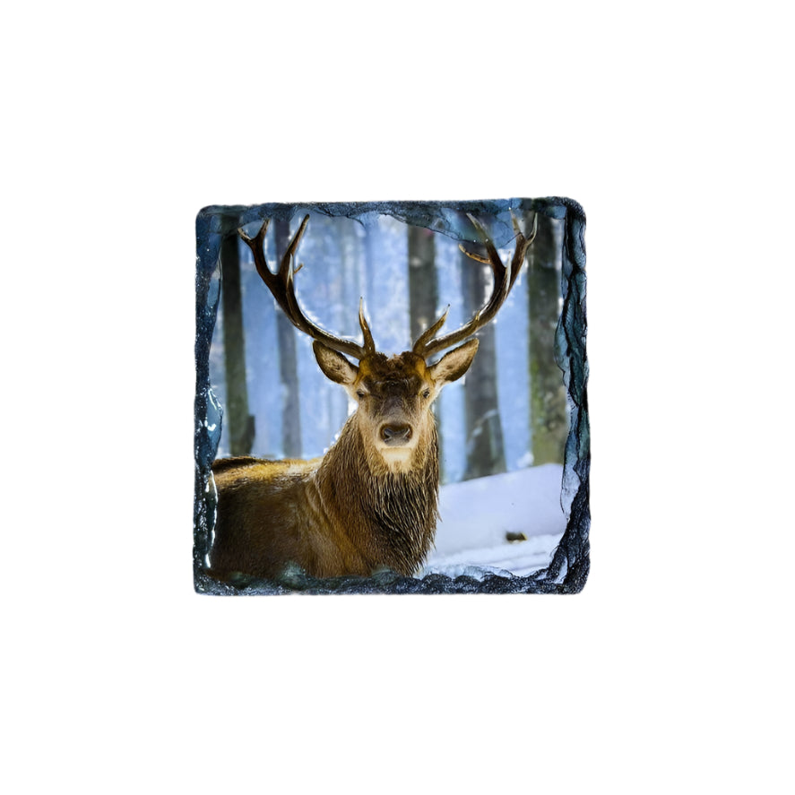 Stags in Winter Scene Slate Coaster Set – Scottish Highlands Souvenir Gift