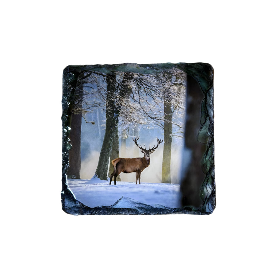 Stags in Winter Scene Slate Coaster Set – Scottish Highlands Souvenir Gift
