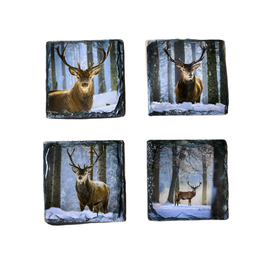 Stags in Winter Scene Slate Coaster Set – Scottish Highlands Souvenir Gift