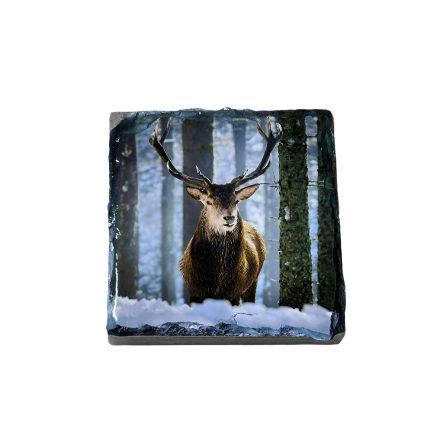 Stags in Winter Scene Slate Coaster Set – Scottish Highlands Souvenir Gift