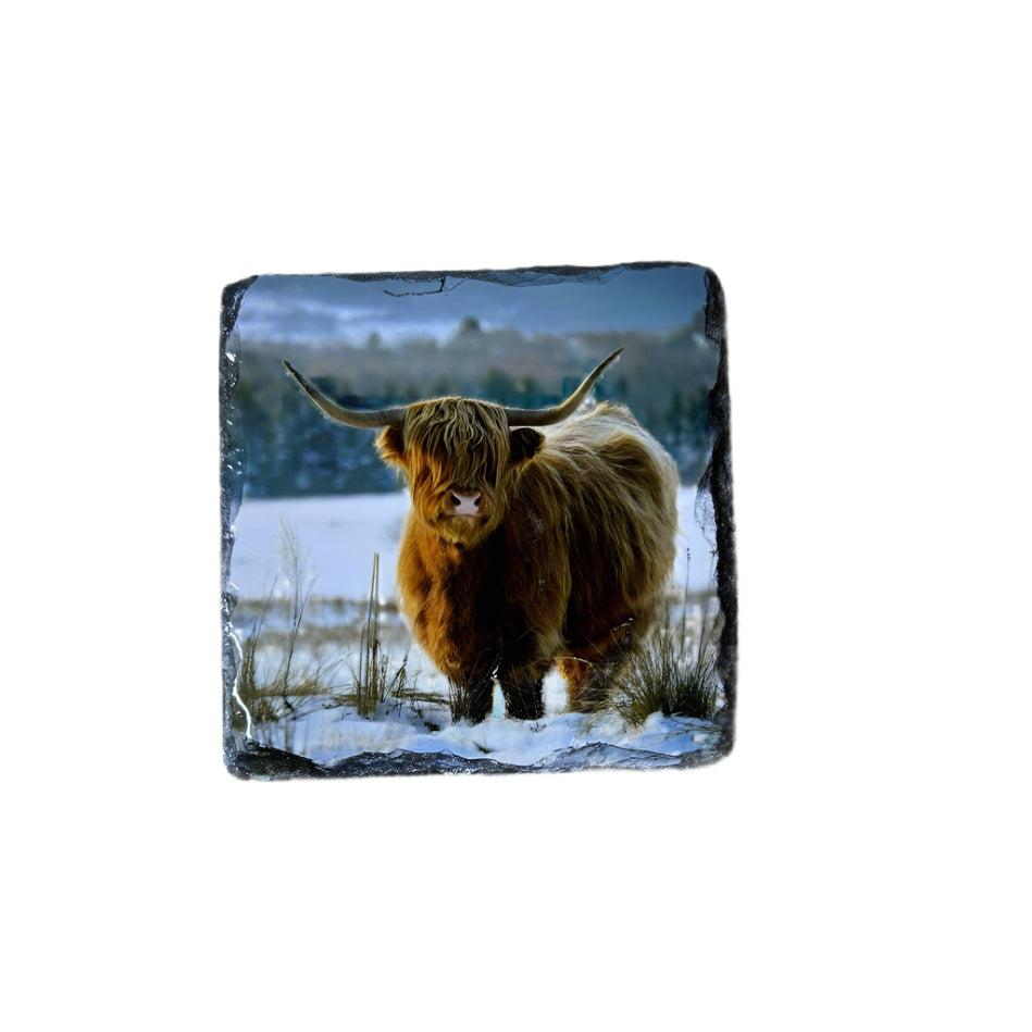 Highland Cows in Winter Scene Slate Coaster Set – Scottish Souvenir Gift