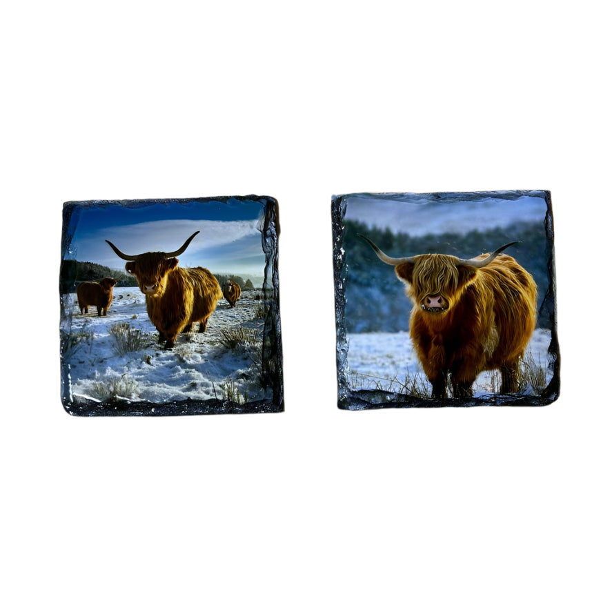 Highland Cows in Winter Scene Slate Coaster Set – Scottish Souvenir Gift