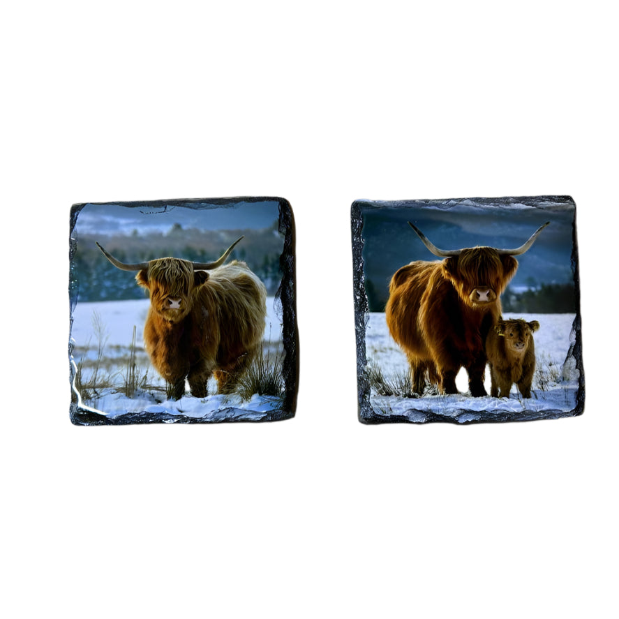 Highland Cows in Winter Scene Slate Coaster Set – Scottish Souvenir Gift