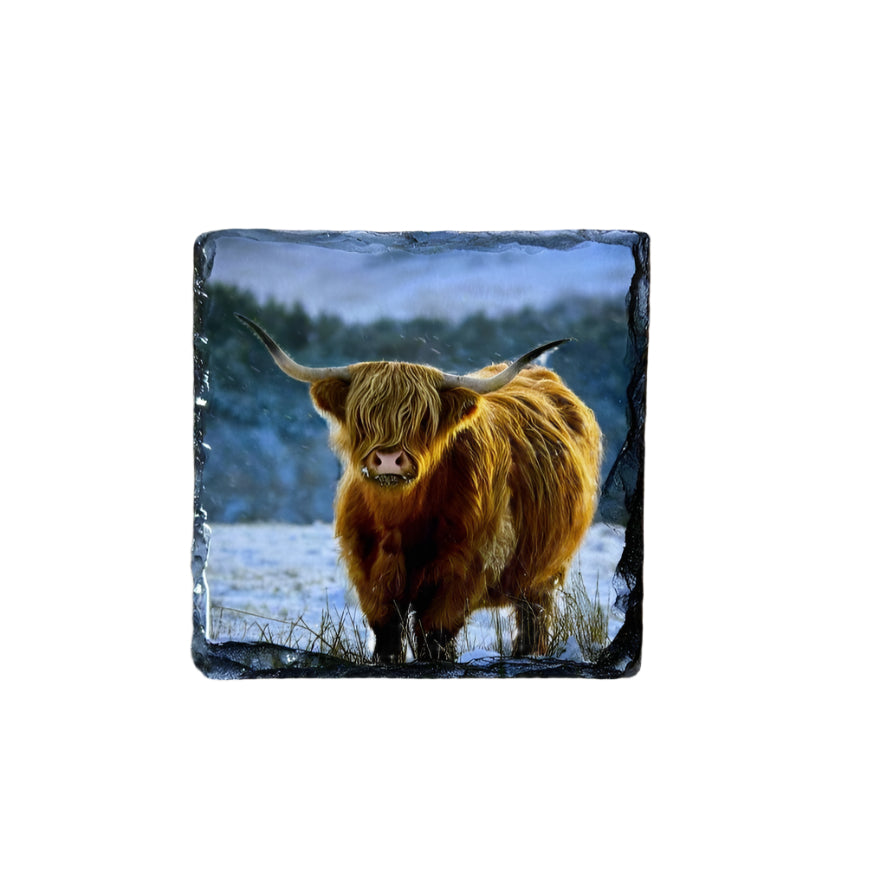 Highland Cows in Winter Scene Slate Coaster Set – Scottish Souvenir Gift