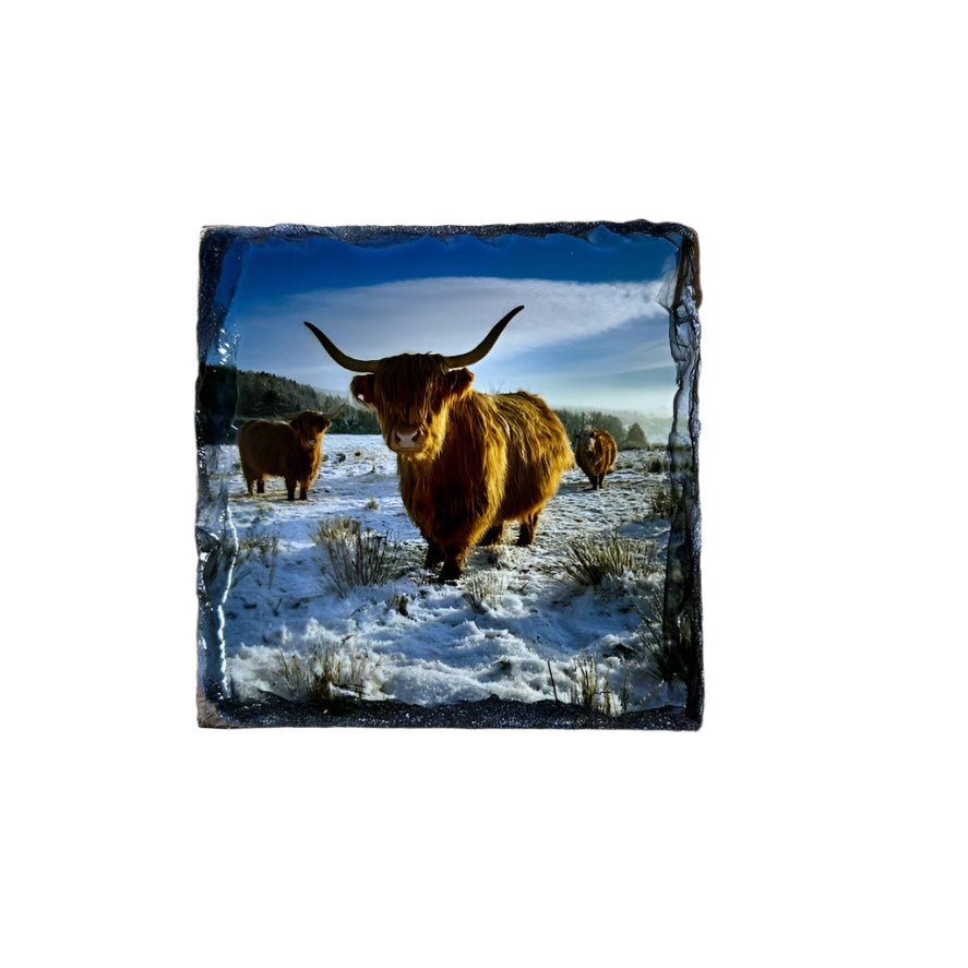 Highland Cows in Winter Scene Slate Coaster Set – Scottish Souvenir Gift