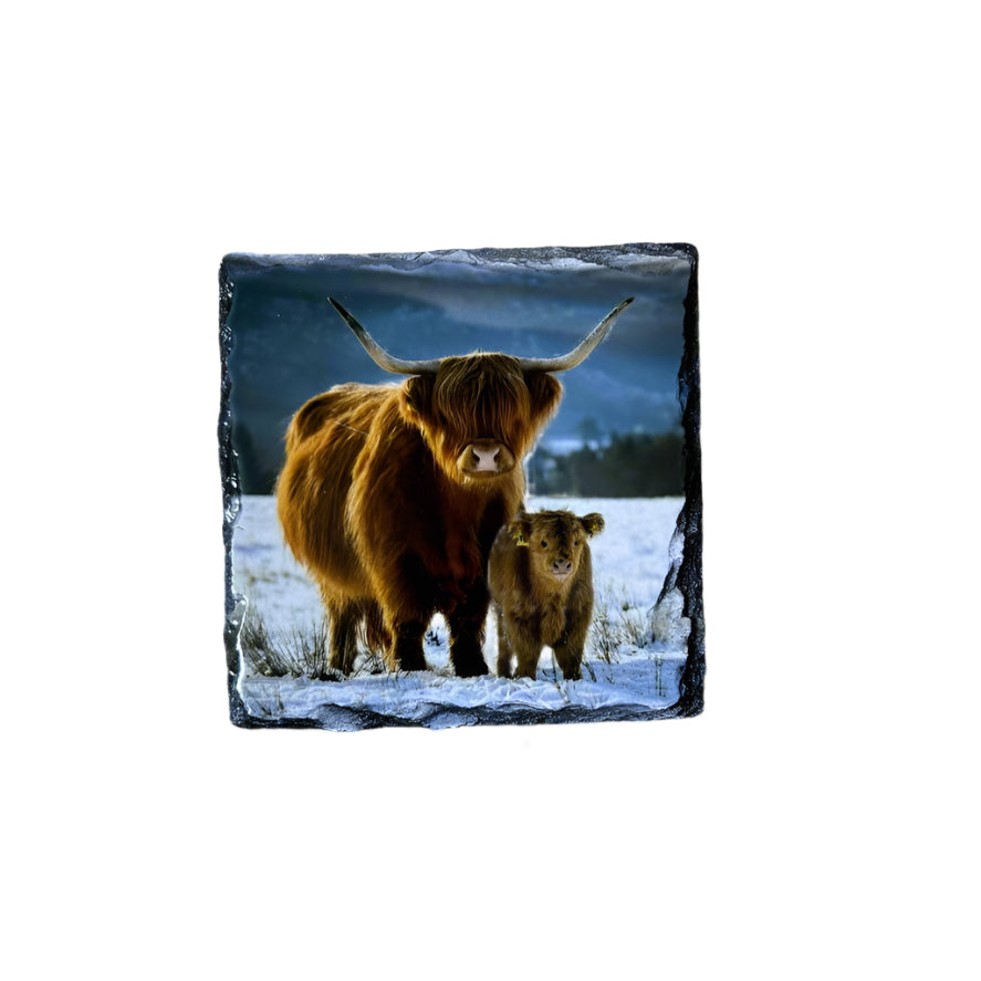 Highland Cows in Winter Scene Slate Coaster Set – Scottish Souvenir Gift