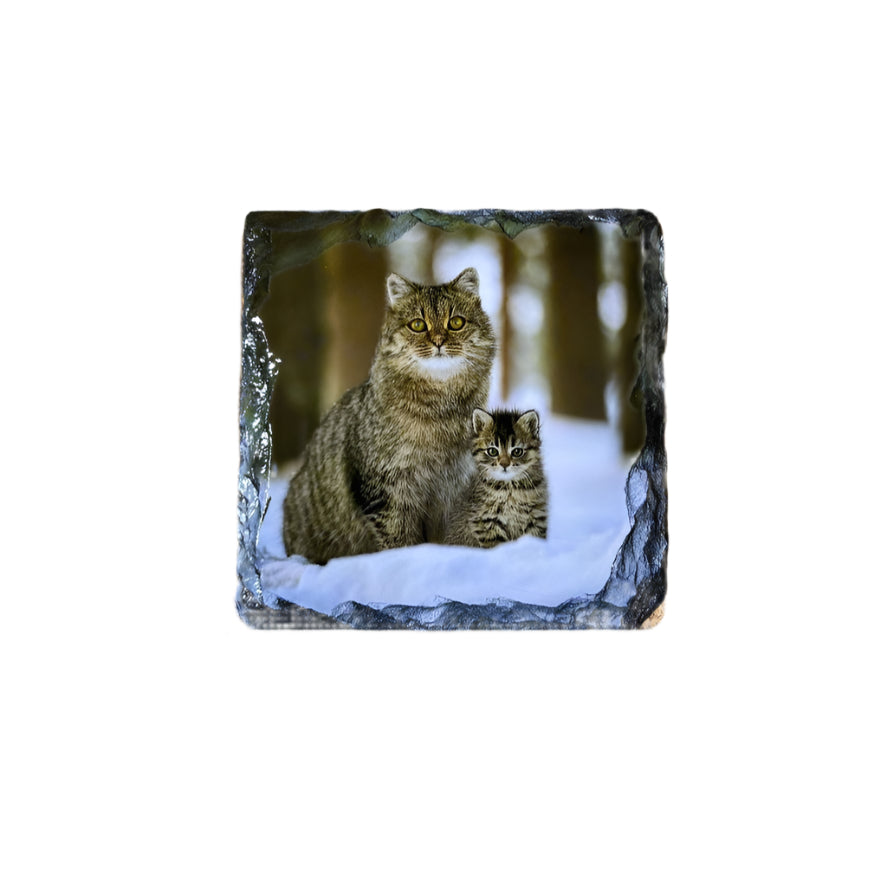 Scottish Wildcat Slate Coaster Set – Highlands Souvenir Gift from Scotland