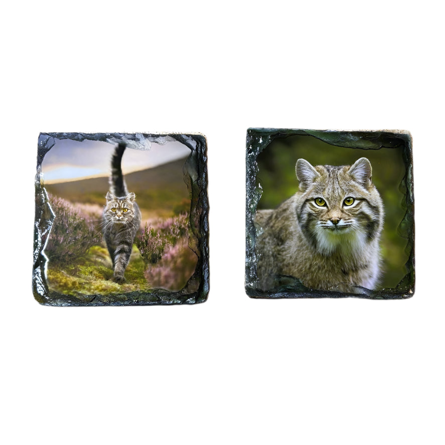 Scottish Wildcat Slate Coaster Set – Highlands Souvenir Gift from Scotland