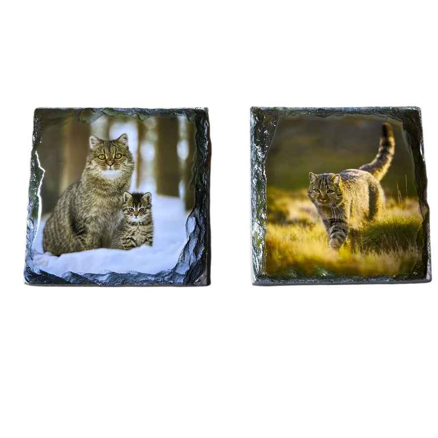 Scottish Wildcat Slate Coaster Set – Highlands Souvenir Gift from Scotland