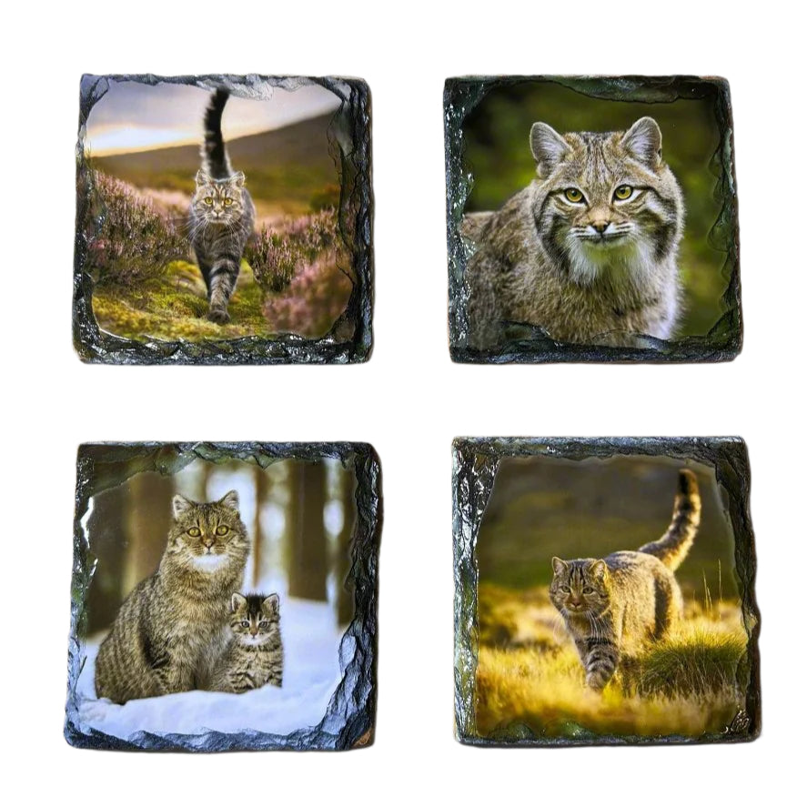Scottish Wildcat Slate Coaster Set – Highlands Souvenir Gift from Scotland