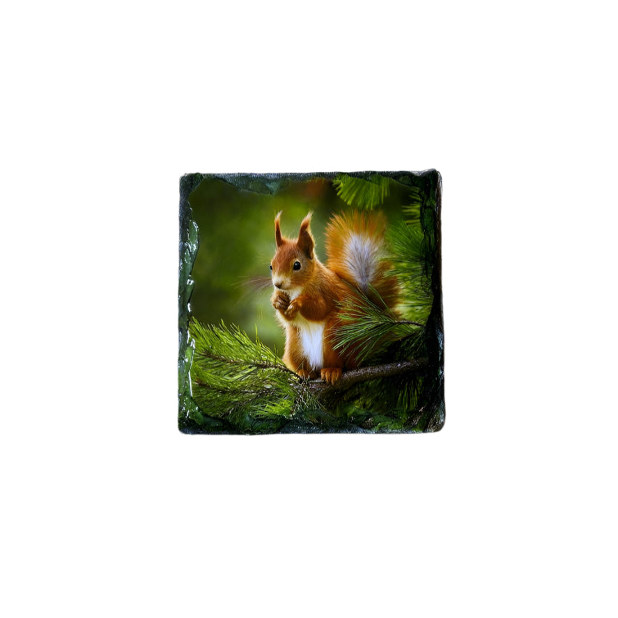 Red Squirrel Slate Coaster Set – Scottish Highlands Wildlife Souvenir Gift
