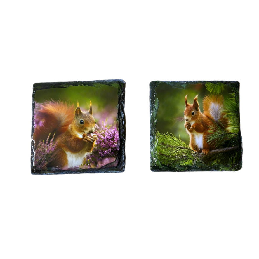 Red Squirrel Slate Coaster Set – Scottish Highlands Wildlife Souvenir Gift