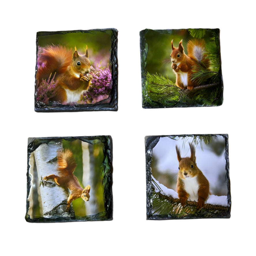 Red Squirrel Slate Coaster Set – Scottish Highlands Wildlife Souvenir Gift
