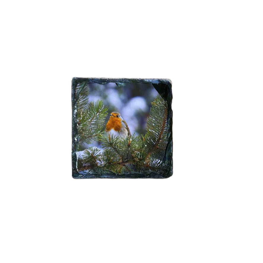 Highland Robins Slate Coaster Set – Scottish Highlands Souvenir Gift Idea