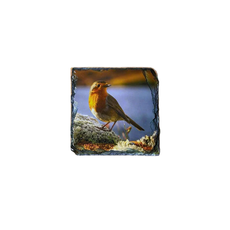 Highland Robins Slate Coaster Set – Scottish Highlands Souvenir Gift Idea