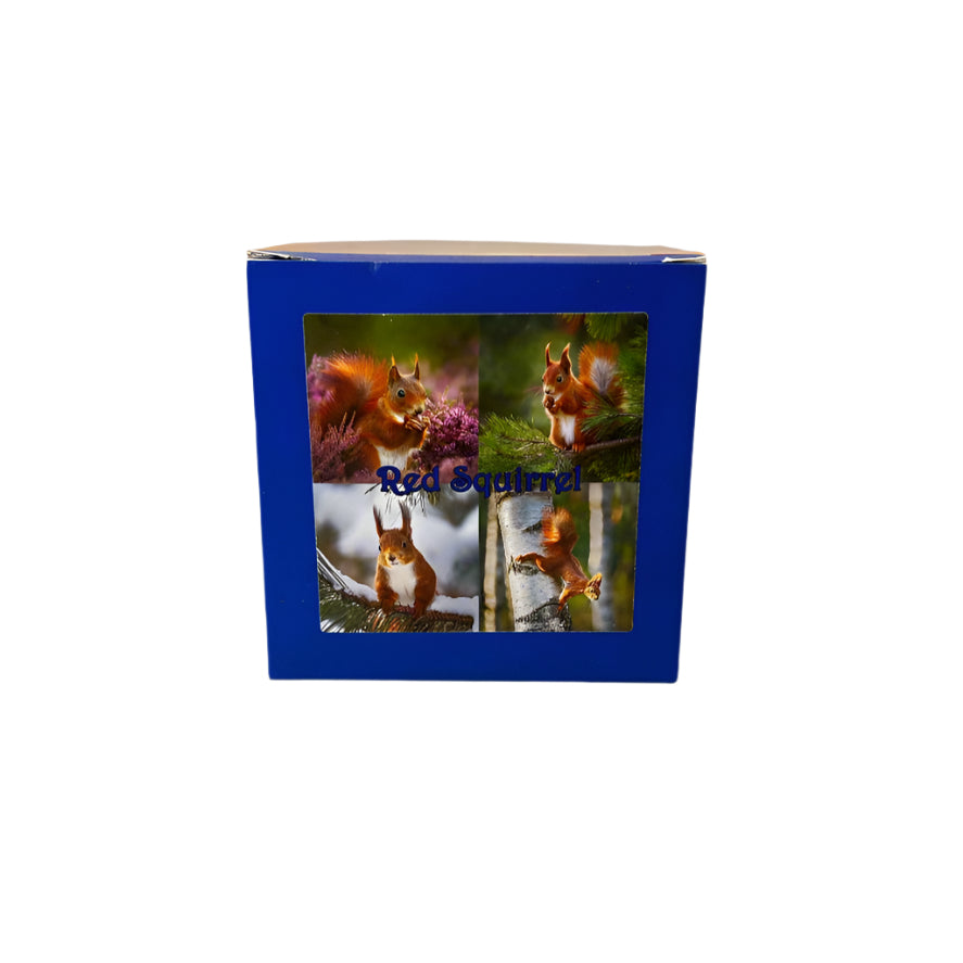 Red Squirrel Slate Coaster Set – Scottish Highlands Wildlife Souvenir Gift