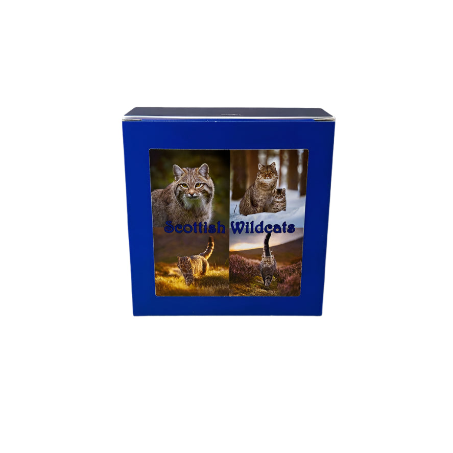 Scottish Wildcat Slate Coaster Set – Highlands Souvenir Gift from Scotland