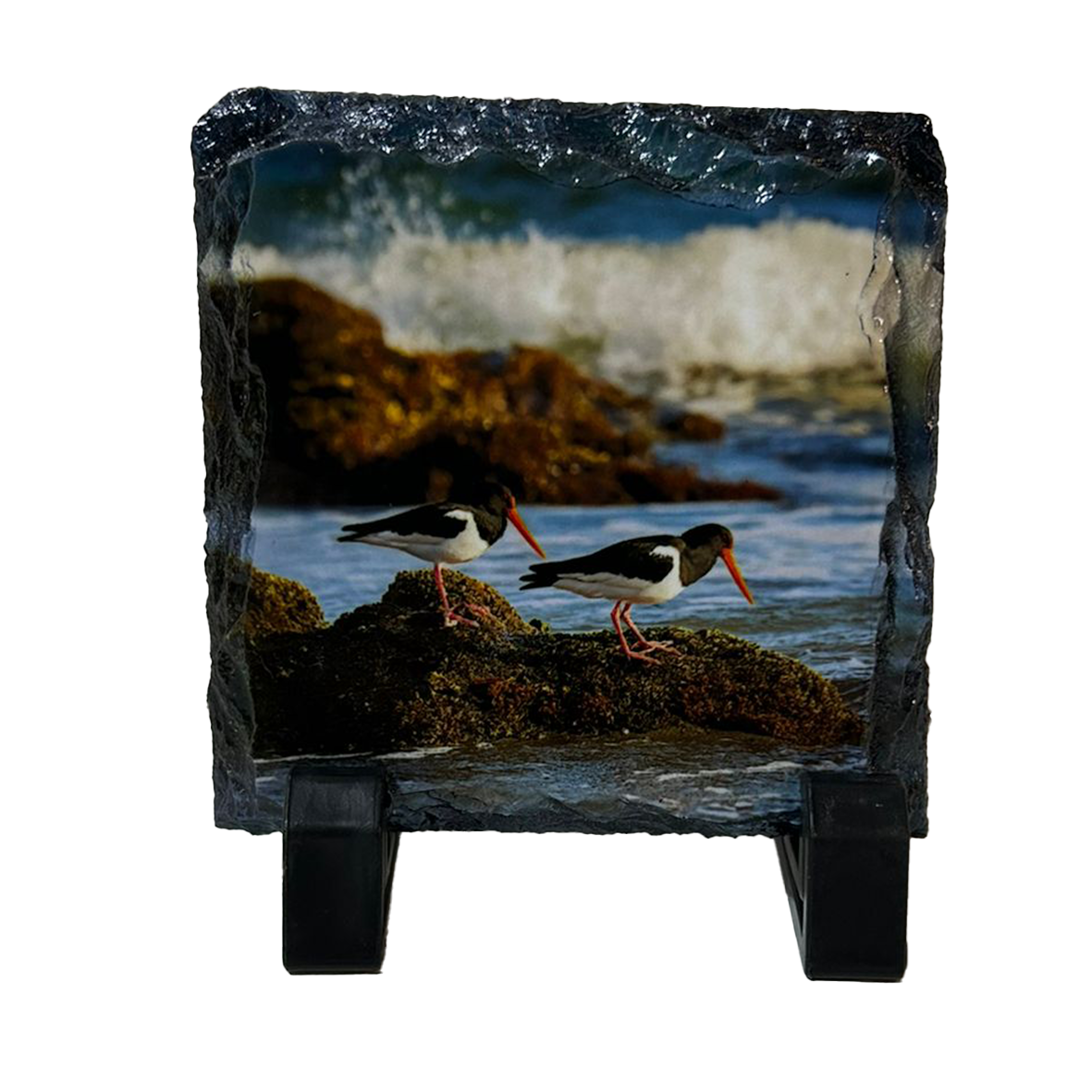 Slate with a scenic view of two oyster catchers on rocks by the water