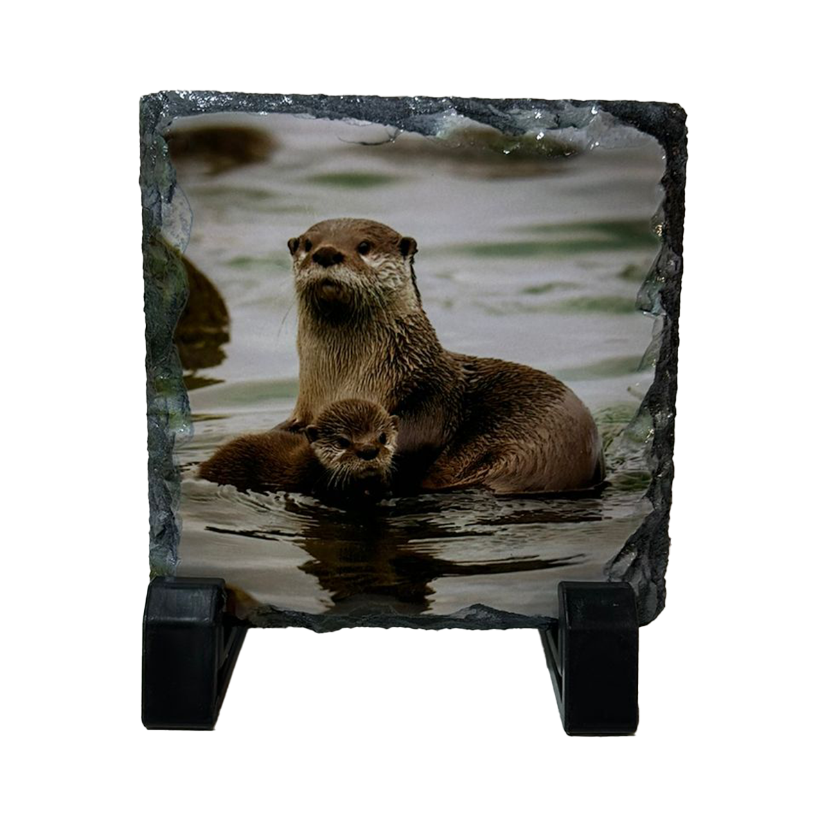 North Coast Wildlife Slate Coaster Set of 4 – Scottish Highlands Gift