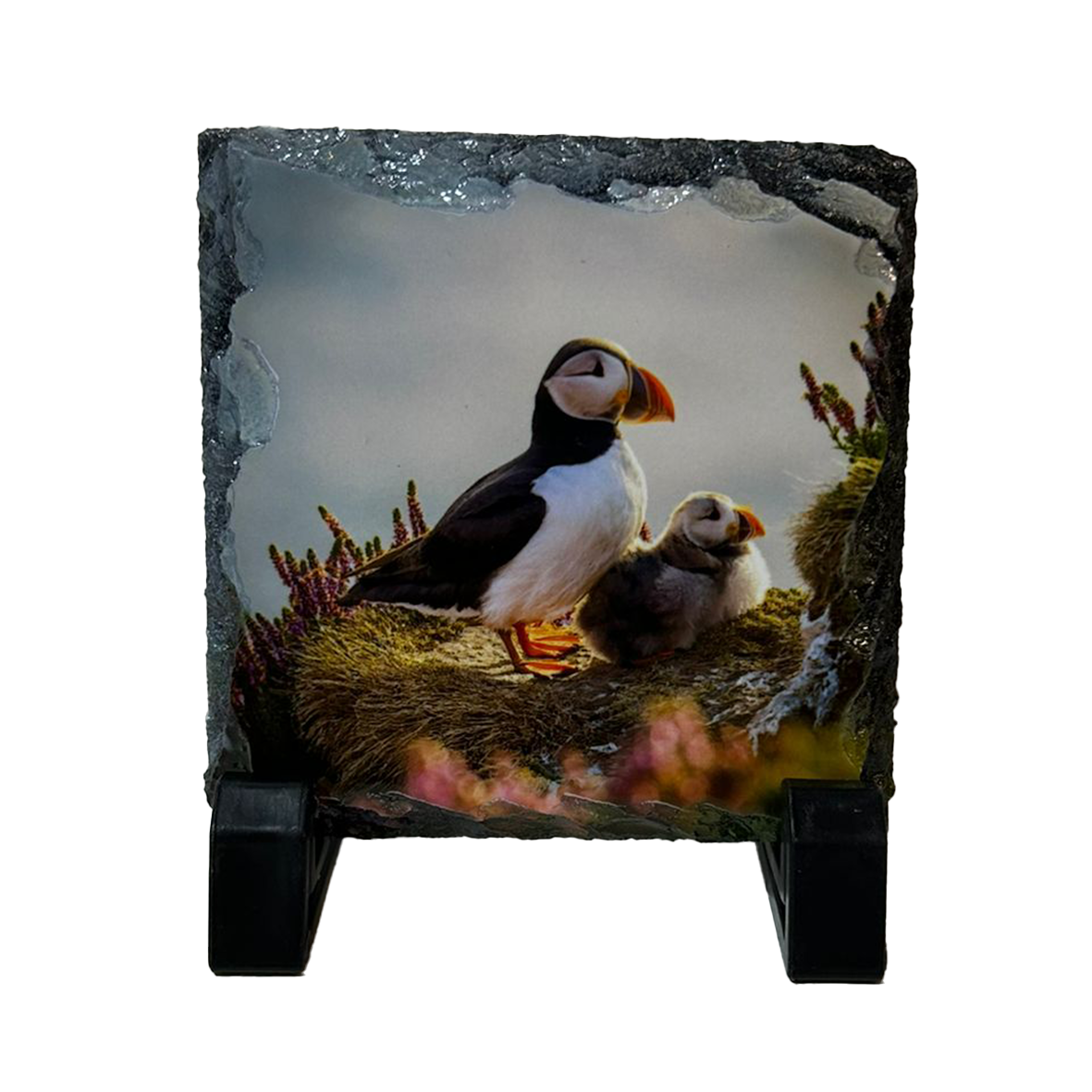 North Coast Wildlife Slate Coaster Set of 4 – Scottish Highlands Gift