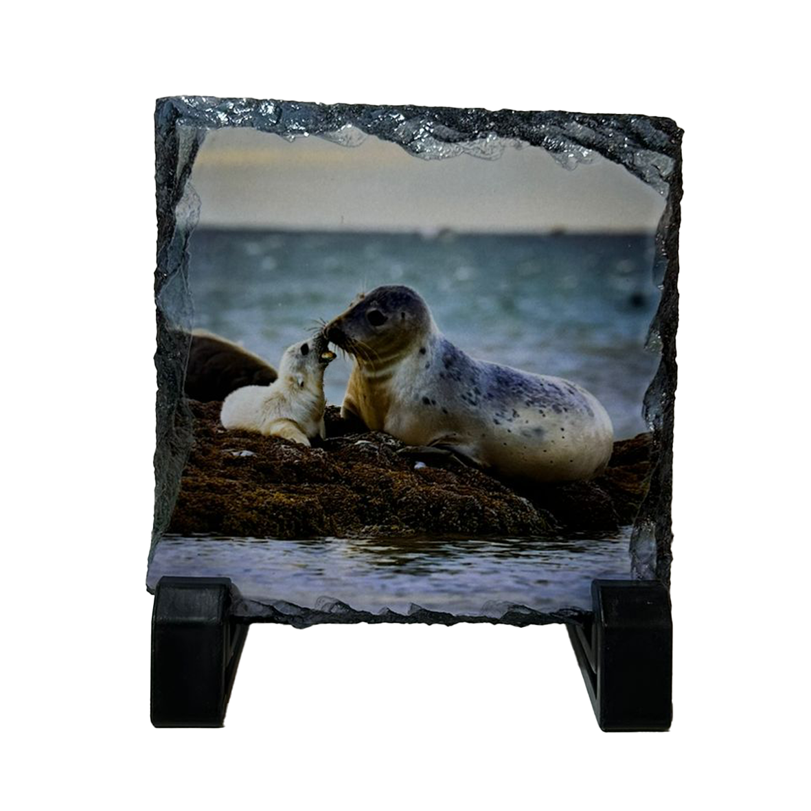 North Coast Wildlife Slate Coaster Set of 4 – Scottish Highlands Gift
