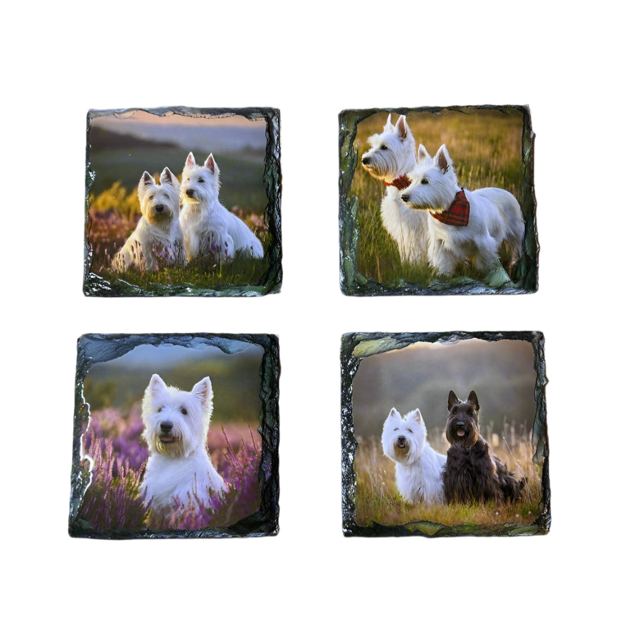 Scottie Dog Stone Slate Coaster Set. Scottie Dog Images Printed on Natural Slate.