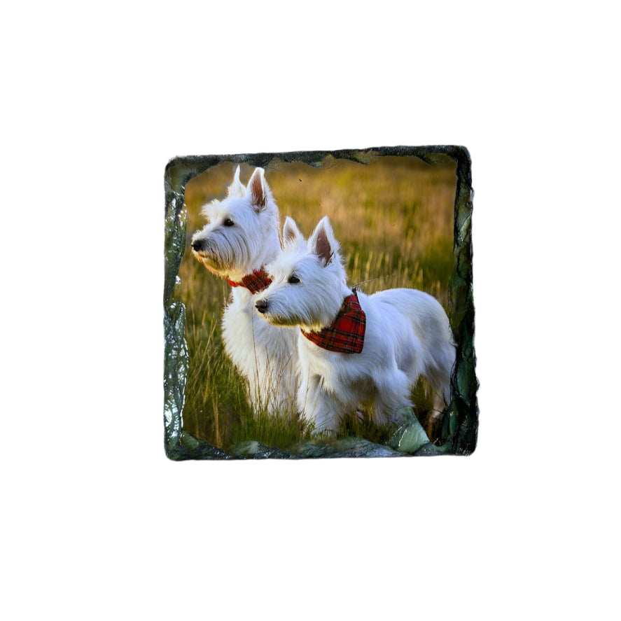 Scottie Dog Stone Slate Coaster Set. Scottie Dog Images Printed on Natural Slate.