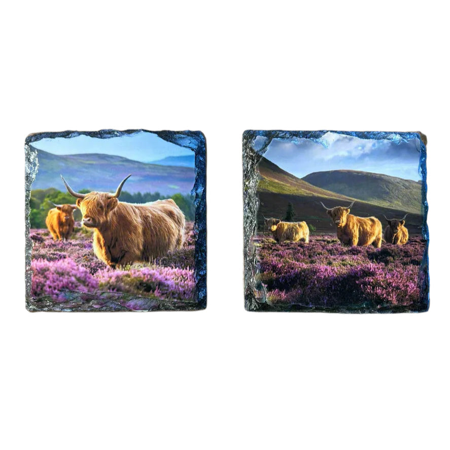 Highland Cow in Heather Slate Coaster Set – Scottish Highlands Souvenir Gift