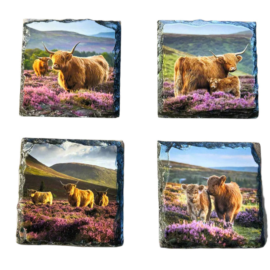 Highland Cow in Heather Slate Coaster Set – Scottish Highlands Souvenir Gift
