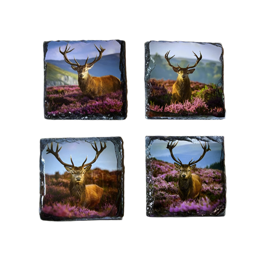 Stags in Heather Scene – Scottish Highlands Souvenir Slate Coaster Set