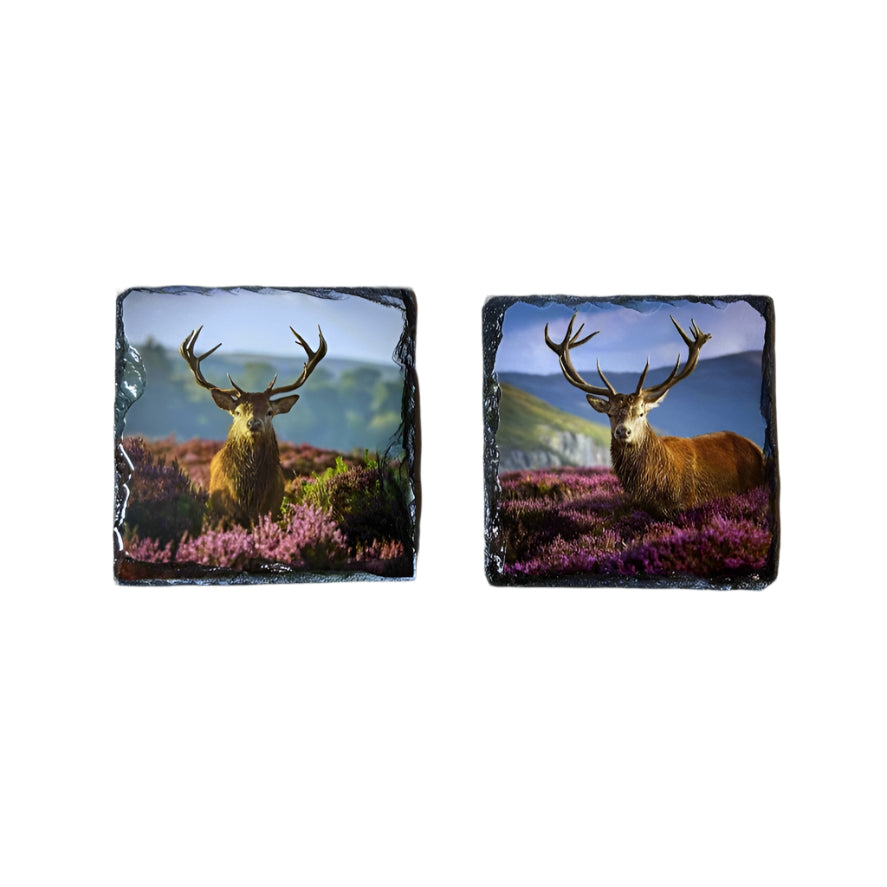 Stags in Heather Scene – Scottish Highlands Souvenir Slate Coaster Set
