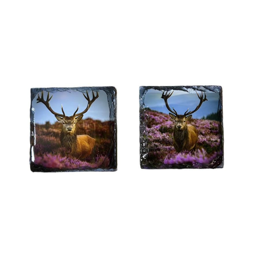 Stags in Heather Scene – Scottish Highlands Souvenir Slate Coaster Set