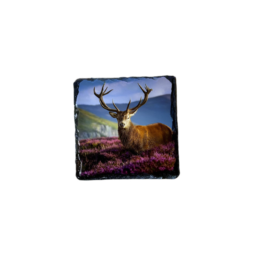 Stags in Heather Scene – Scottish Highlands Souvenir Slate Coaster Set