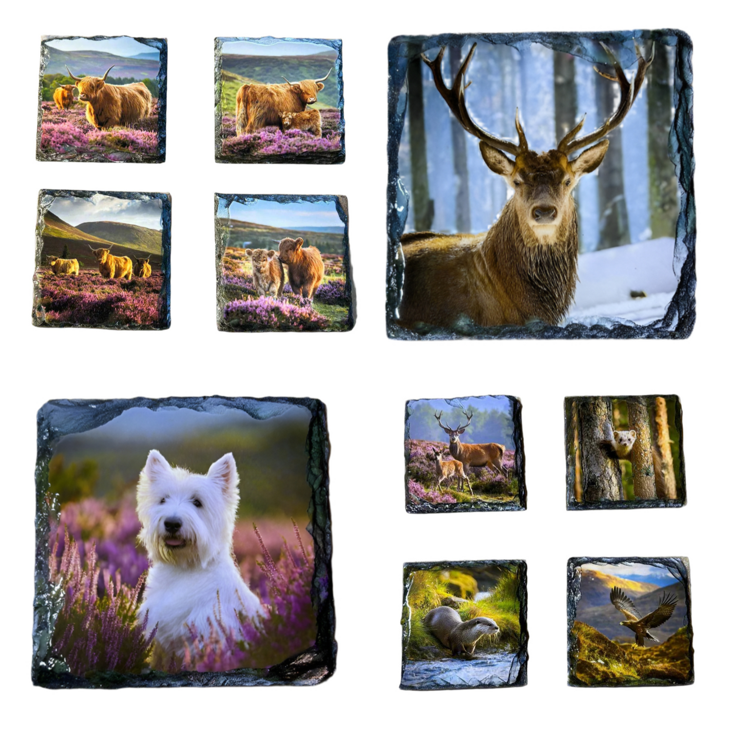 Scottish Wildlife Themed Slate Coaster Sets