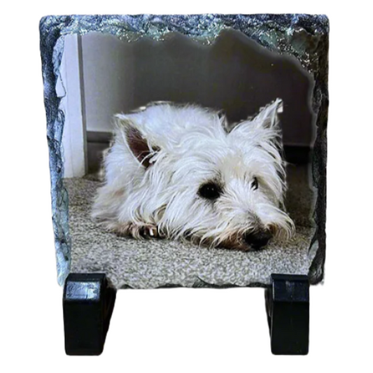 A custom photo slate featuring an image of a white dog, presumably a terrier, lying down and looking towards the camera, set on a dark slate background with bevelled edges.