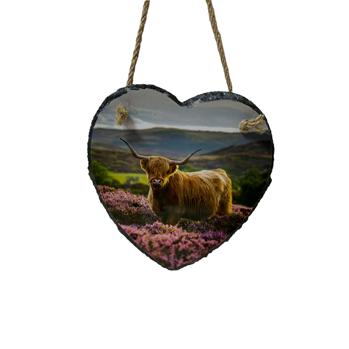 Highland Cow & Stag Hanging Slates Heart & Square Wall Art