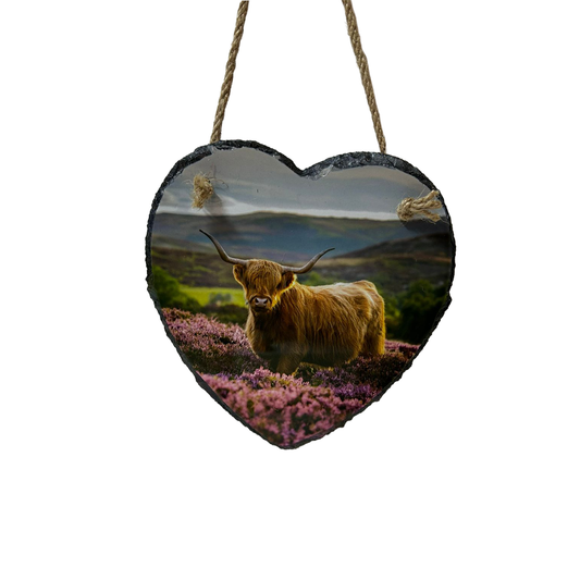Highland Cow & Stag Hanging Slates Heart & Square Wall Art