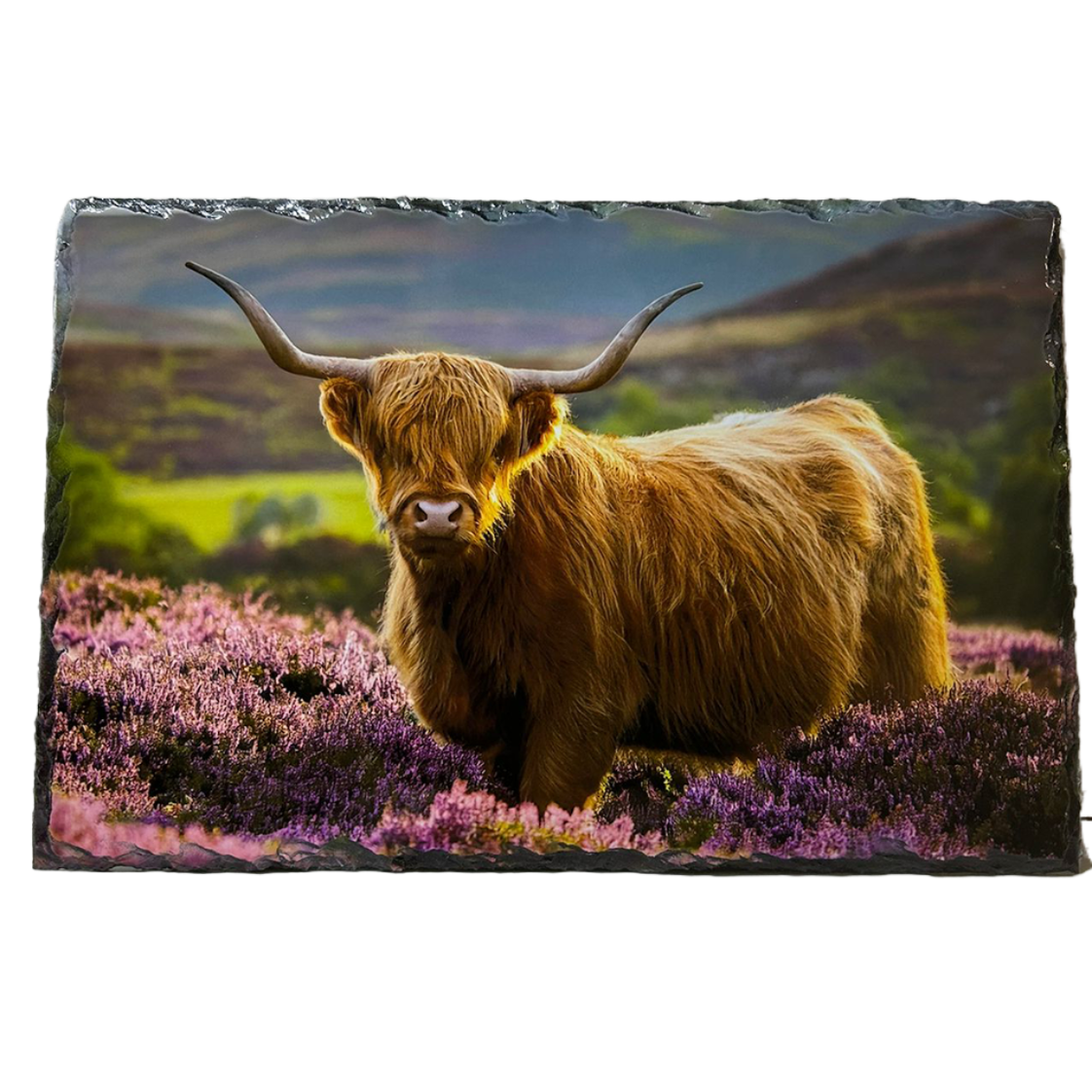 Slate Tablemat Highland Cow & Stag Individual Table Placemat – Scottish Heather & Winter Designs