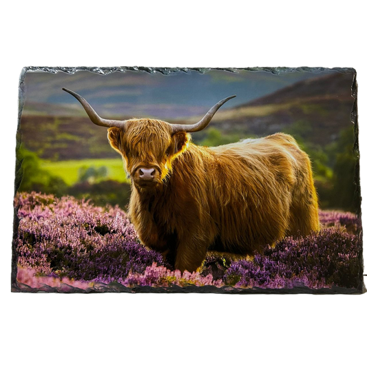 Slate Tablemat Highland Cow & Stag Individual Table Placemat – Scottish Heather & Winter Designs