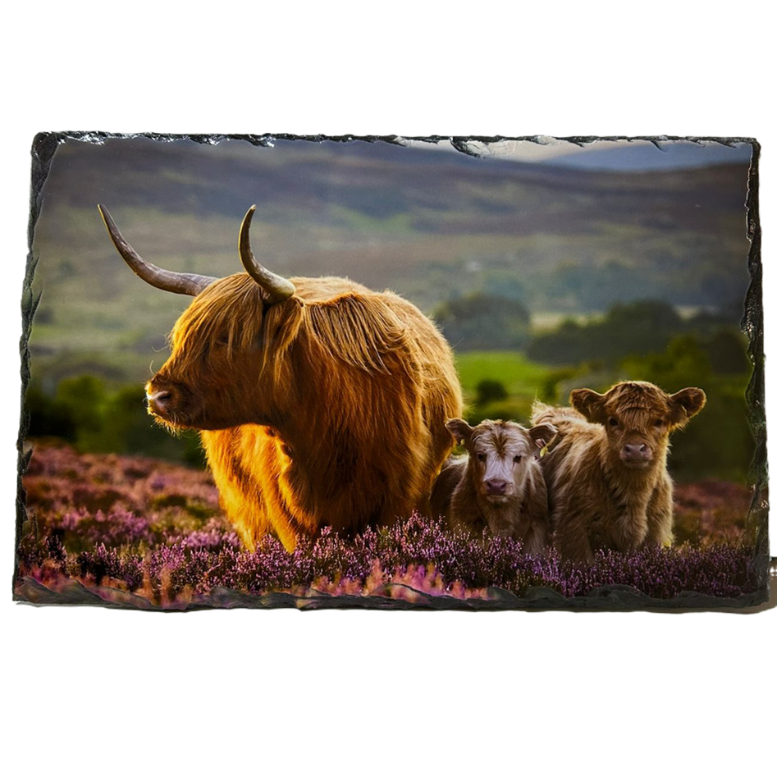 Slate Tablemat Highland Cow & Stag Individual Table Placemat – Scottish Heather & Winter Designs