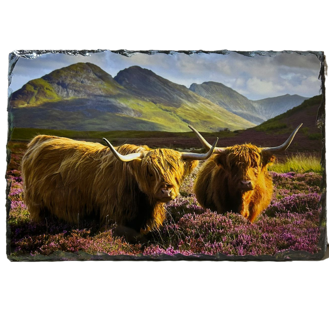 Slate Tablemat Highland Cow & Stag Individual Table Placemat – Scottish Heather & Winter Designs
