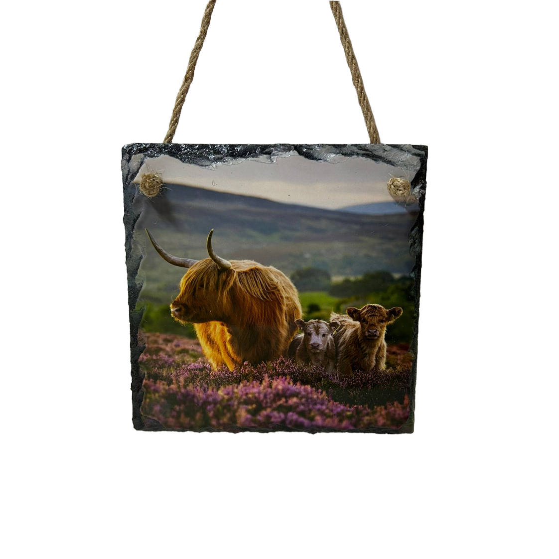 Highland Cow & Stag Hanging Slates Heart & Square Wall Art