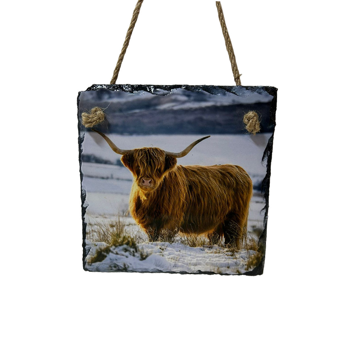 Highland Cow & Stag Hanging Slates Heart & Square Wall Art