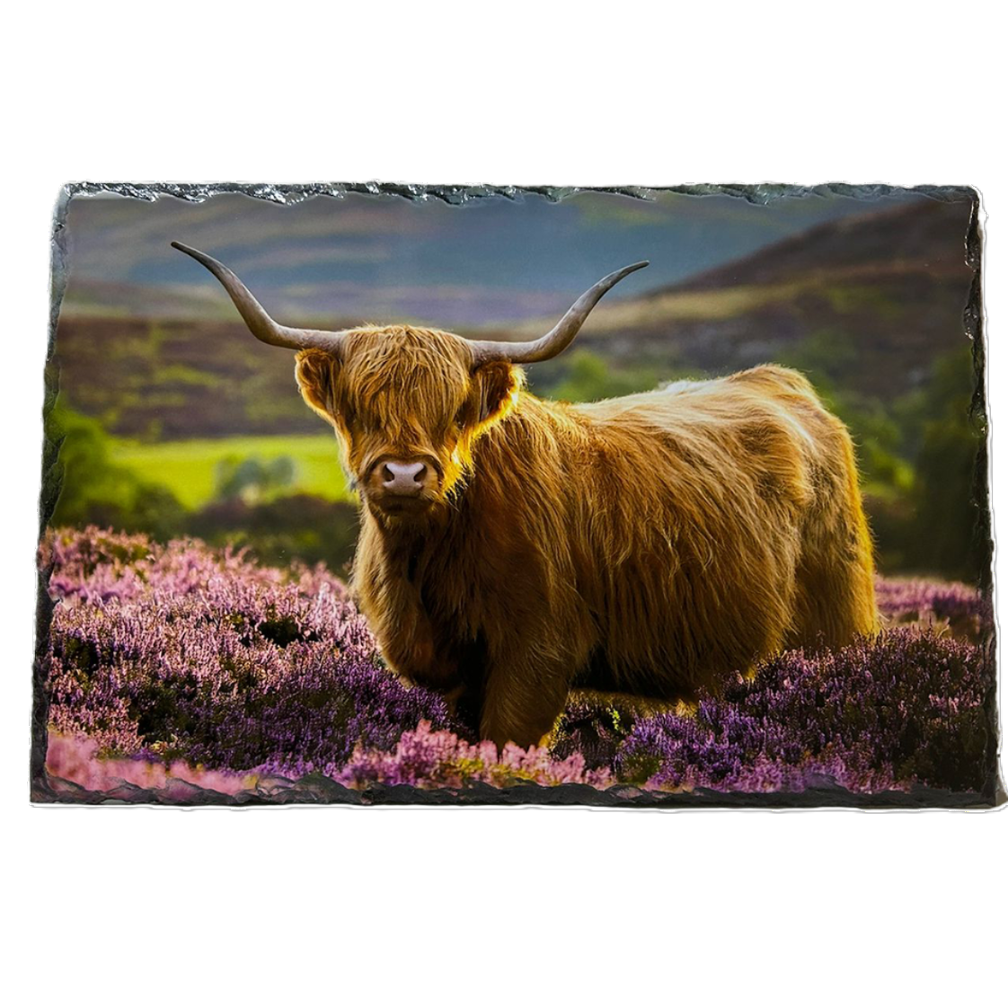 Slate Tableware Set Highland Cow With A Heather Scene – Handcrafted Scottish Dining Decor