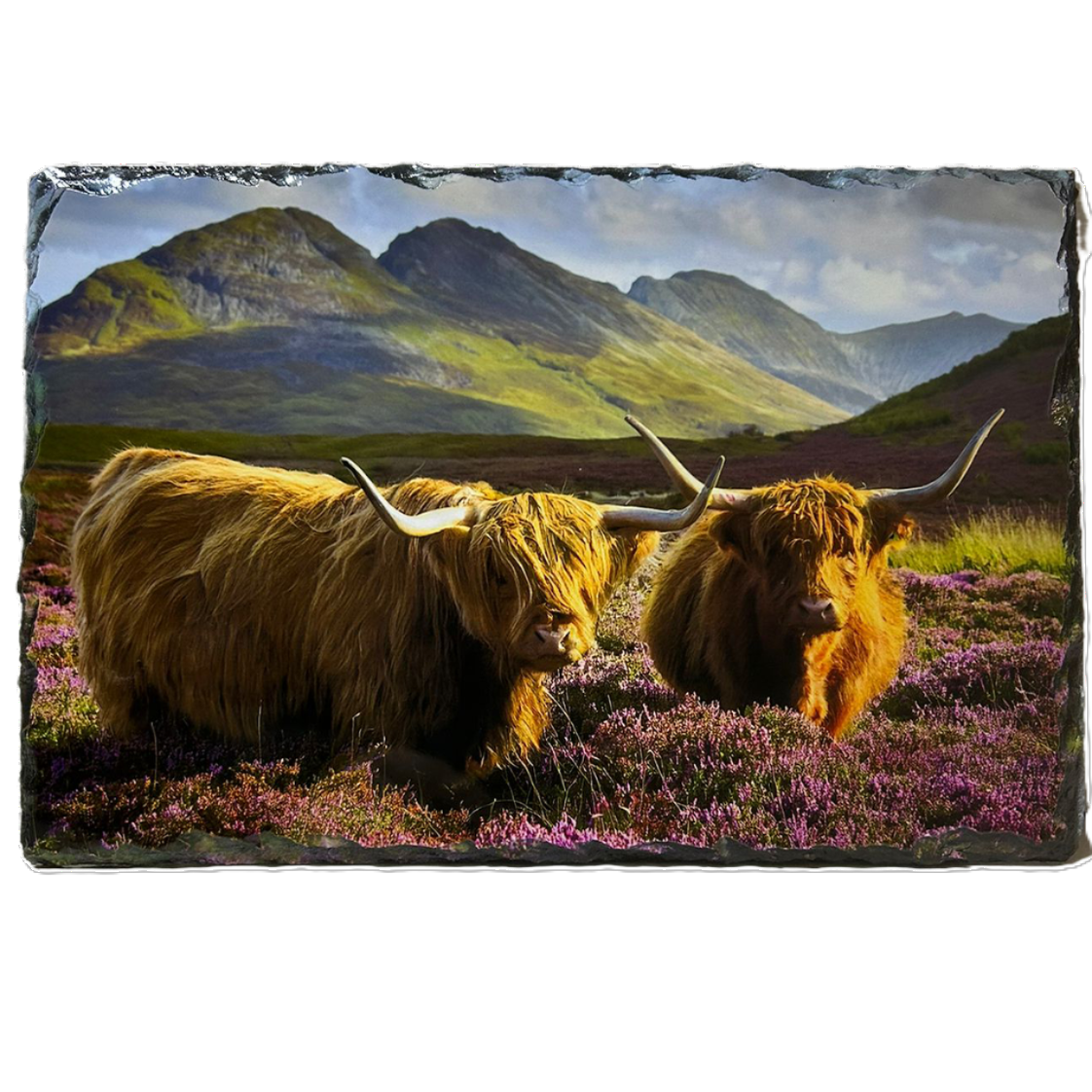 Slate Tableware Set Highland Cow With A Heather Scene – Handcrafted Scottish Dining Decor