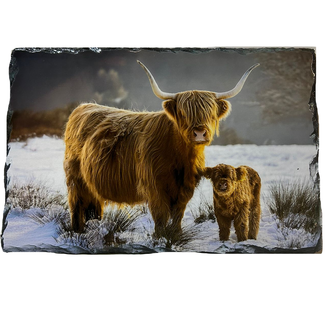 Slate Tablemat Highland Cow & Stag Individual Table Placemat – Scottish Heather & Winter Designs
