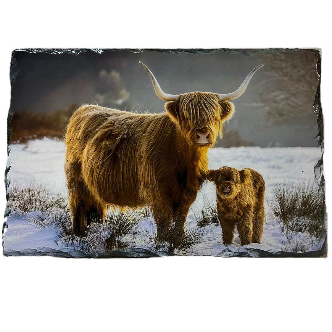 Slate Tableware Set Highland Cow With A Winter Scene – Handcrafted Scottish Home & Dining Decor