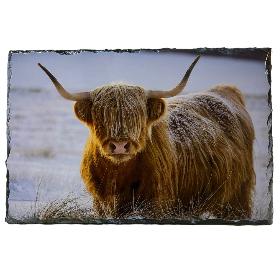 Slate Tablemat Highland Cow & Stag Individual Table Placemat – Scottish Heather & Winter Designs