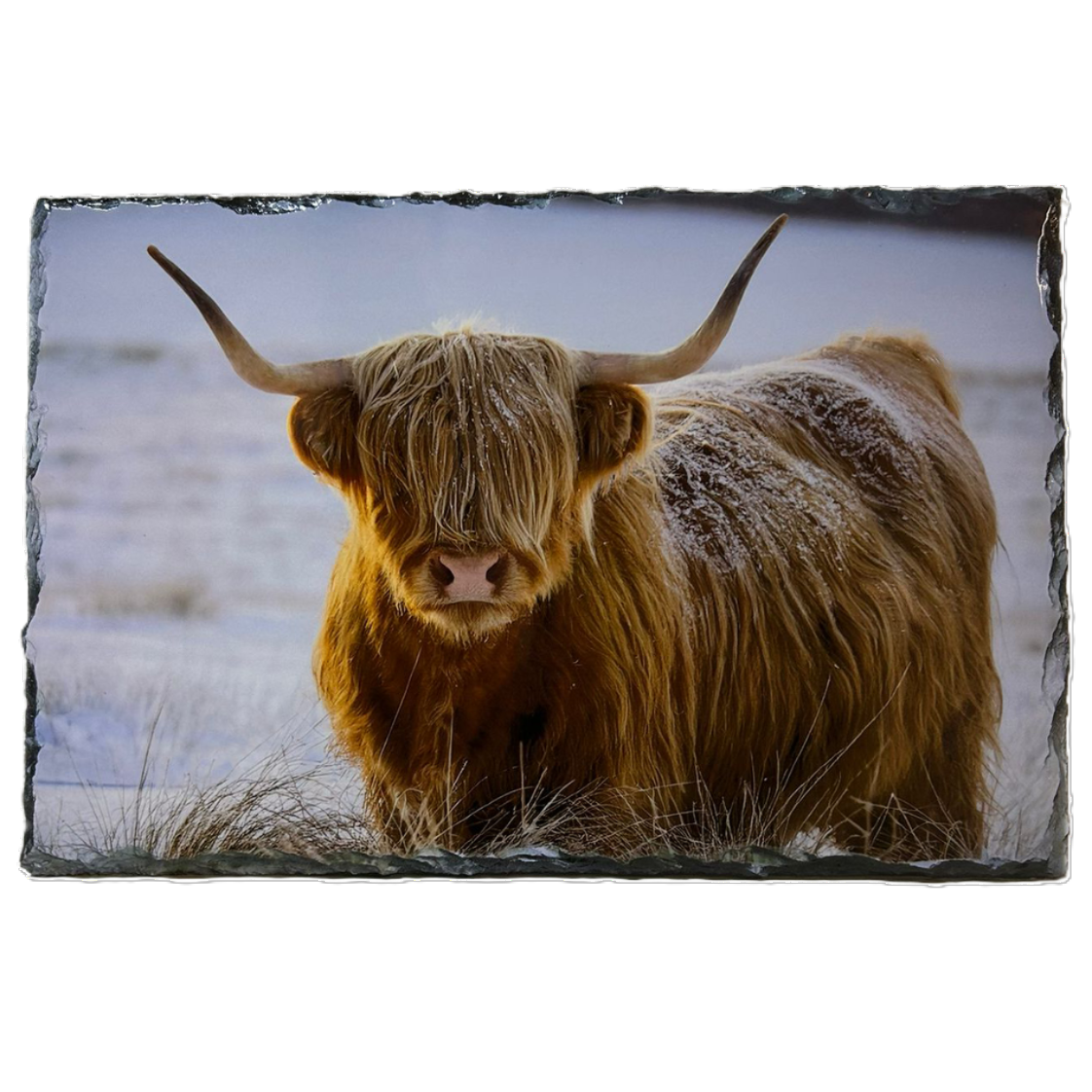 Slate Tableware Set Highland Cow With A Winter Scene – Handcrafted Scottish Home & Dining Decor